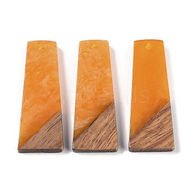 Resin & Wood Pendants WOOD-F015-04C-1