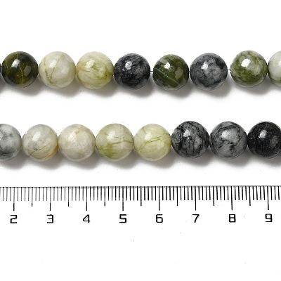 Natural Xiuyu Jade Beads Strands G-H298-A08-04-1