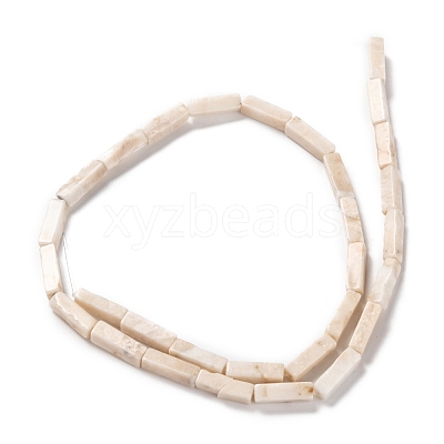Natural Petrified Wood Beads Strands G-G837-20-1