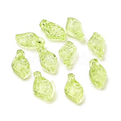 Transparent Acrylic Charms TACR-G041-01A-1