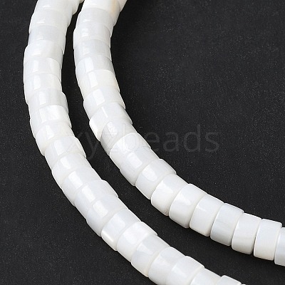 Natural Freshwater Shell Beads Strands SSHEL-C013-04B-1