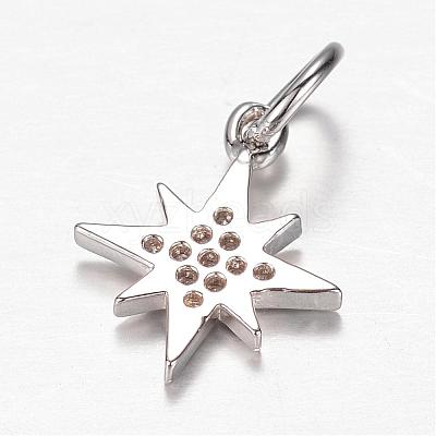 Brass Micro Pave Cubic Zirconia Charms ZIRC-K045-07P-1