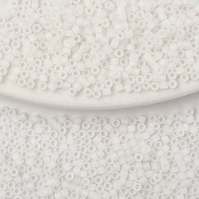 10G Cylinder Seed Beads SEED-YW0003-06L-1