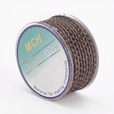 Eco-Friendly Braided Leather Cord OCOR-L035-3mm-E05-1