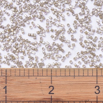 MIYUKI Delica Beads X-SEED-J020-DB0680-1