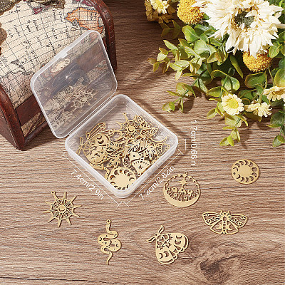 20Pcs 10 Style Ion Plating(IP) 201 & 304  Stainless Steel Pendants STAS-SC0004-74-1