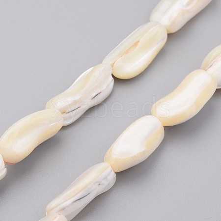 Natural Shell Bead Strands BSHE-P021-04-1