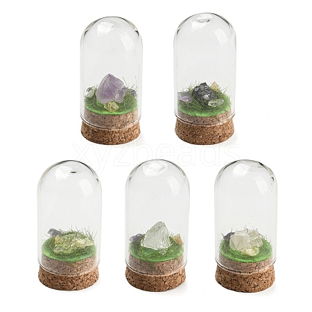 Natural Gemstone Nuggets Display Decoration with Glass Dome Cloche Cover DJEW-B009-03-1