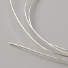 999 Fine Silver Rectangle Flat Wire STER-WH0010-12A-S-2