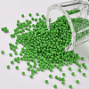 11/0 Grade A Baking Paint Glass Seed Beads X-SEED-N001-A-1027-1