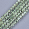 Natural Prehnite Beads Strands X-G-S333-8mm-032-1