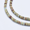 Natural Aqua Terra Jasper Beads Strands G-E444-17-4mm-3