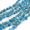 Natural Apatite Beads Strands G-F666-01A-02-1