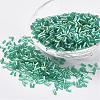 Glass Bugle Beads SEED-E001-12mm-178-1