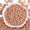 Baking Paint Glass Seed Beads SEED-K010-A21-3