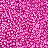 Baking Paint Pearlized Glass Seed Beads SEED-T008-03N-3