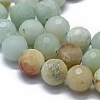 Natural Flower Amazonite Beads Strands G-D0013-74-3