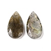 Natural Labradorite Pendants G-M440-01F-1