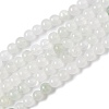 Natural Tianshan Cui Quartzite Beads Strands G-B046-01E-1