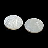 Carved Natural White Shell Cabochons SSHEL-N038-06B-06-2