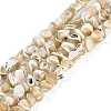 Natural Trochus Shell Beads Strands BSHE-H109-10-1