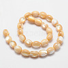 Natural Sea Shell Barrel Bead Strands SSHEL-M014-04-2