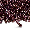 TOHO 6/0 Round Beads SEED-XTR06-0502-2