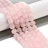 Natural Rose Quartz Beads Strands G-H028-A03-01-2