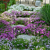 20Pcs Acrylic Butterfly Flowerpot Decoration AJEW-OC00025-5
