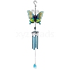 Glass Pendant Decorations PW-WG59099-06-1