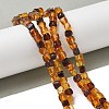 Natural Amber Beads Strands G-K387-E02-01-1