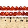 Dyed Natural Agate Beads Strands G-T141-16A-01-5