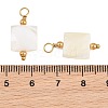 Natural Freshwater Shell Pendants SH-CBA5EEC-03G-3