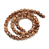 Natural Tibetan 3-Eye dZi Agate Beads Strands G-A240-A01-01-3