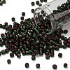 TOHO 6/0 Round Beads SEED-XTR06-2204-1