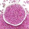 6/0 Spray Paint Fringe Glass Seed Beads X1-SEED-H003-11J-3