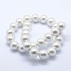 Shell Pearl Beads Strands BSHE-K053-02-18mm-2