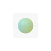 Luminous Glow in the Dark Round Silicone Beads PW-WGB50F5-03-1