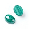 Natural Malachite Cabochons G-E557-03B-1