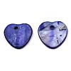 Natural Freshwater Shell Charms SHEL-R113-17C-2