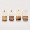 Resin & Walnut Wood Pendants RESI-S384-008A-A07-1