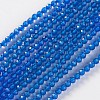 Glass Beads Strands EGLA-E057-02B-21-1