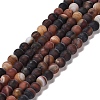 Natural Striped Agate/Banded Agate Beads Strands G-B079-C02-01-1