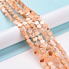 Natural Freshwater Shell Beads Strands SHEL-H002-03C-2