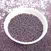 MIYUKI Round Rocailles Beads SEED-G009-RR3206-2