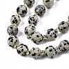 Natural Dalmatian Jasper Beads Strands X-G-N326-100-02-3