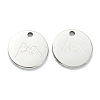 304 Stainless Steel Charms STAS-P280-12P-1