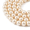 Preciosa® MAXIMA Crystal Nacre Pearls Y-PRC-NPA8-71000-4