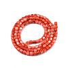 Natural Freshwater Shell Beads Strands SHEL-N003-33-A06-2