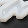 DIY Pendant Silicone Molds DIY-A034-16-5